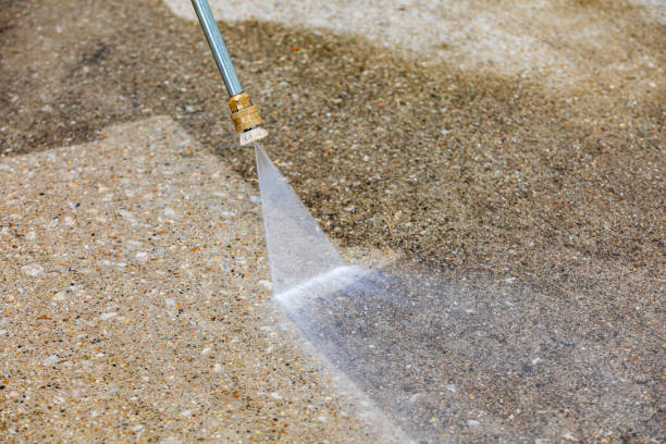Best Animal Enclosure Cleaning  in Marathon, FL